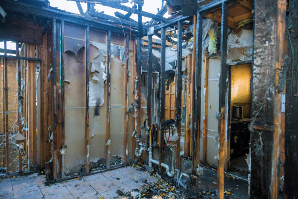 Professional Fire Damage Removal technician working in Kittredge, CO